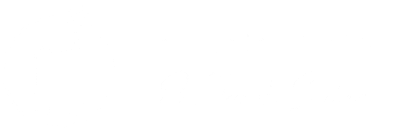 The Dental Factory